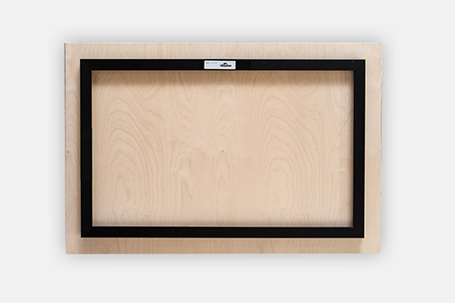 Galapagos green turtle Chelonia mydas agassisi Elizabeth Bay Isabela Island Galapagos Islands Ecuador Metal print