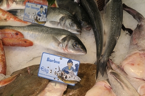 Seafood at the Thursday Market - Boulevard Saint Germain