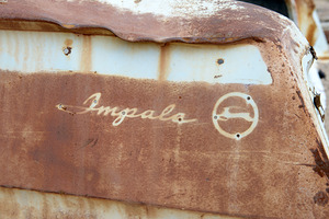 Rhyolite Nevada USA by Kevin Oke