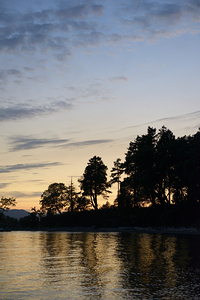 Silhouetted trees at sunset by Kevin Oke