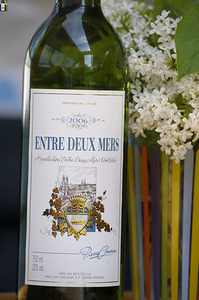 Fleury sur Loire Burgundy France