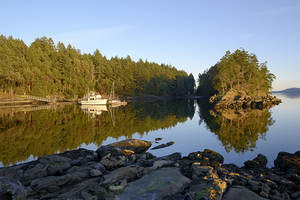 Pleasure boats at the wharf in Conover Cove by Kevin Oke