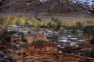 Zion National Park Utah