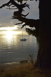 Calm sunset - James Island - San Juan Islands by Kevin Oke