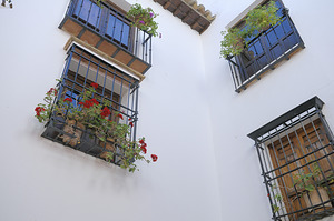 Windows with potted plants  Mondragons Palace Ronda Málaga Andalusia Spain by Kevin Oke