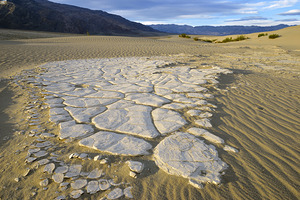 Dried mud exposed on the rippled sand - Mesquite Flat Sand Dunes