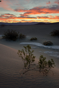 Mesquite Flat Sand Dunes
