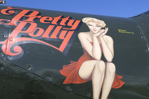 Bell P 63 Kingcobra Palm Springs Air Museum by Kevin Oke