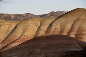 Colorful layers of sediment - John Day Fossil Beds