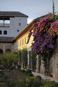 Patio de la Acequia   Generalife The Alhambra Granada Andalusia Spain