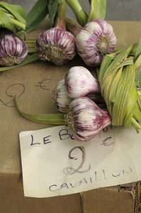 Fresh red garlic at the Lourmarin market
