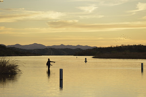 Fishing at sunset Patagonia Lake
