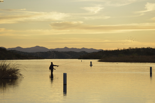 Backlit man fishing at sunset Patagonia Lake State Park Arizona USA Print