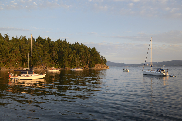 Sailboats at anchor on the west side of Tent Island Print