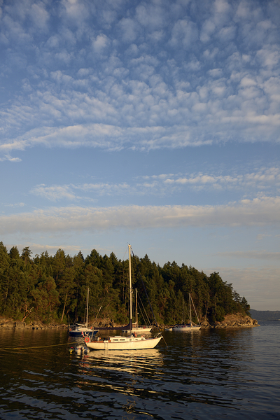 Sailboats at anchor on the west side of Tent Island Print