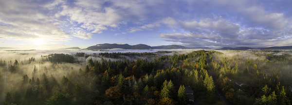 Spring Rays - Vancouver Island Print