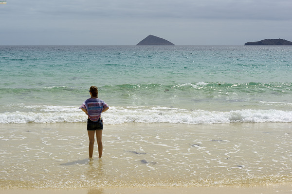 Looking out to sea at Punta Cormorant Floreana Island Galapagos Islands Ecuador Print