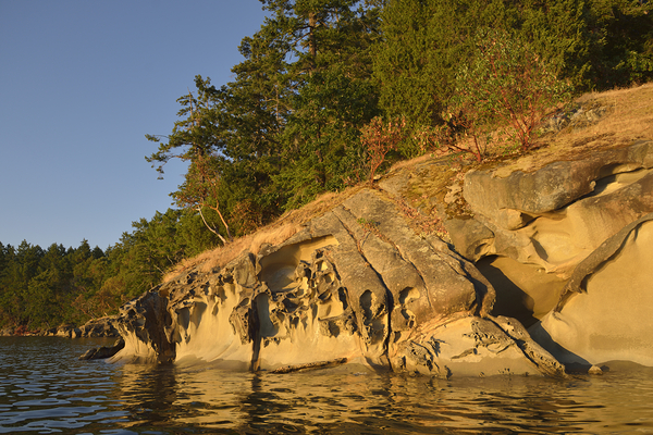 Wave etched sandstone cliff - Tent Island Print