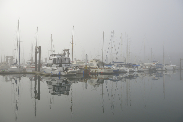 Foggy harbour - San Juan Island Print