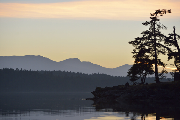 Wallace Island - British Columbia Print