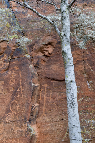 Ancient petroglyphs showcasing animal figures and geometric designs Crane Petroglyph Site Verde Valley Arizona Print