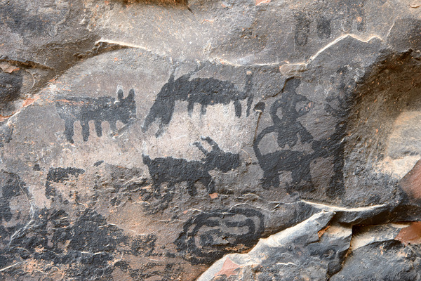 Black petroglyphs of animals Palatki Ruins Arizona USA Print