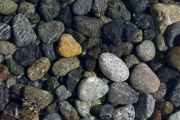 Polished rocks under the water. Sucia Island Print