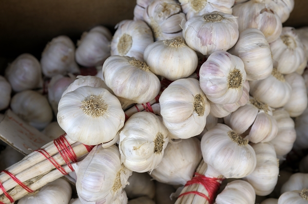 Braided garlic at the Lourmarin street market Print
