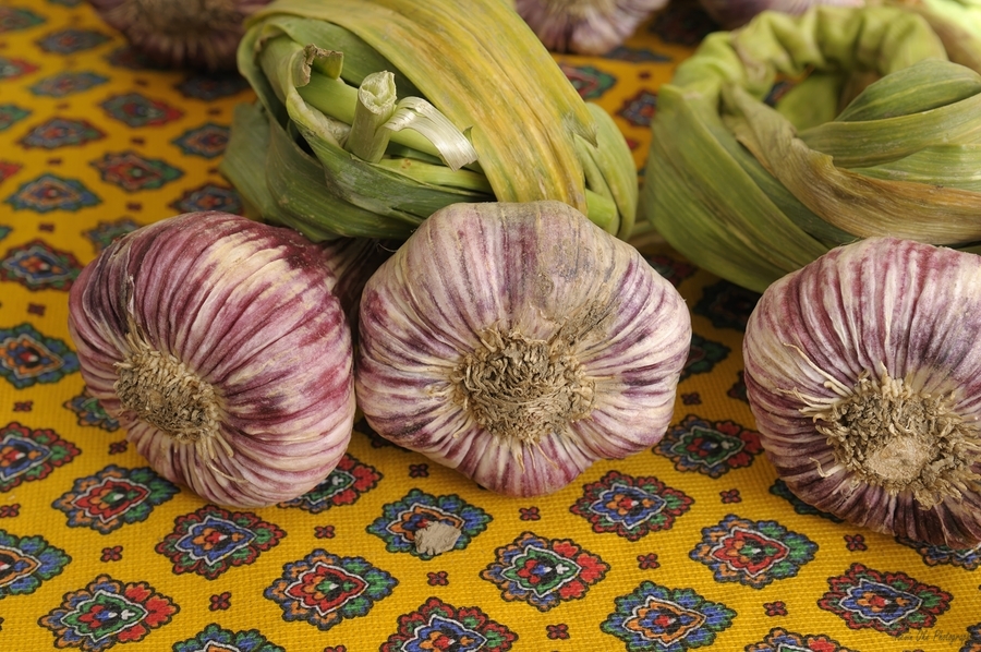 Garlic at the Friday market in Lourmarin  Print