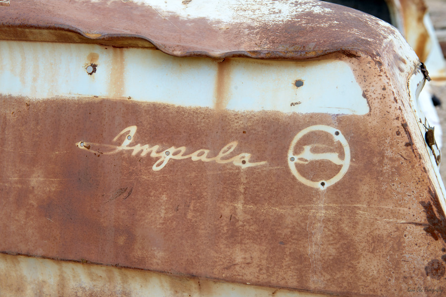 Rhyolite Nevada USA  Print