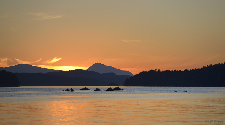 Kayakers near islets at the entrance to Princess Bay  Print