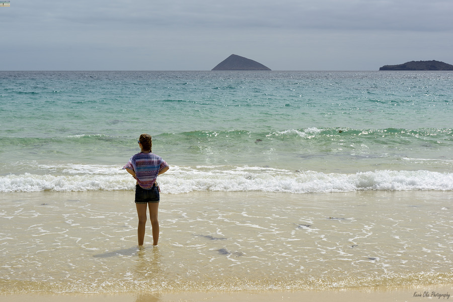 Looking out to sea at Punta Cormorant Floreana Island Galapagos Islands Ecuador  Print
