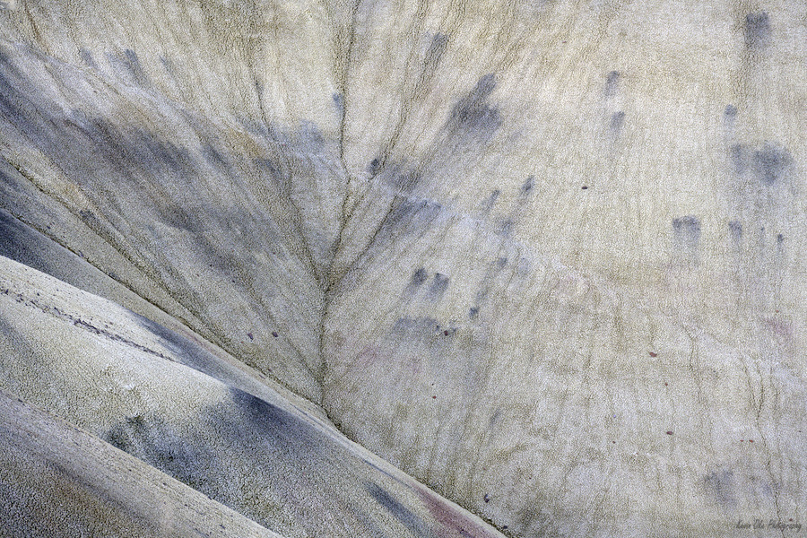 John Day Fossil Beds National Monument Oregon  Imprimer