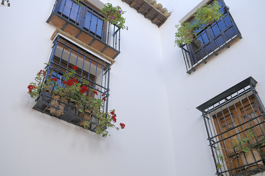 Windows with potted plants  Mondragons Palace Ronda Málaga Andalusia Spain  Print