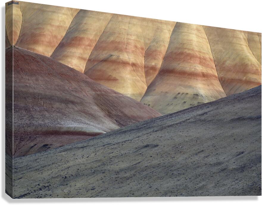 John Day Fossil Beds Canvas Print