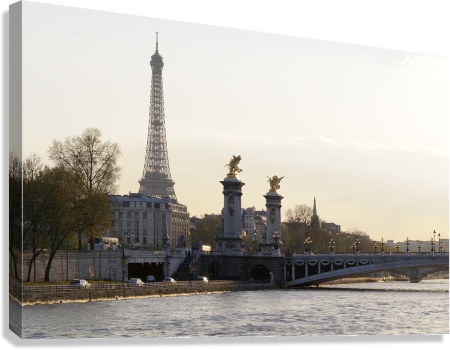 Pont Alexandre III and the Eiffel Tower from the Seine River - Paris Canvas Print