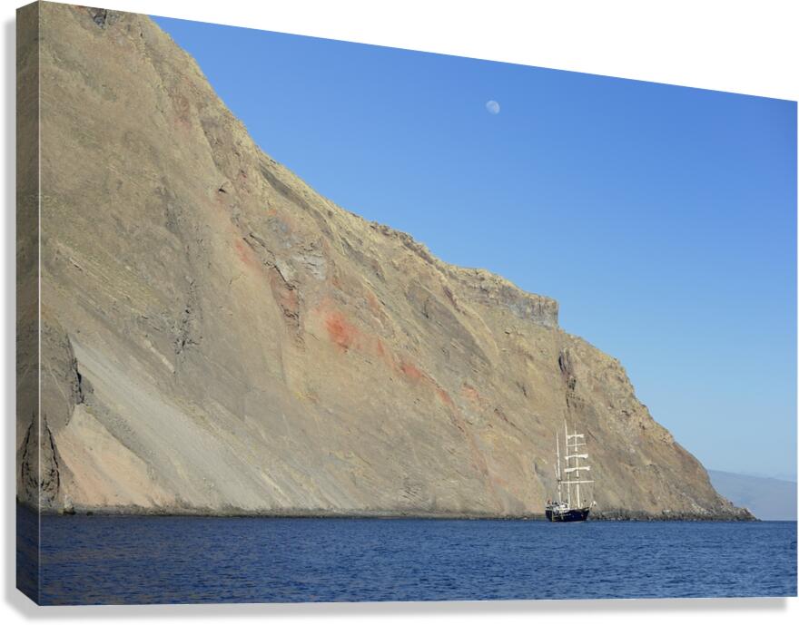 Mary Anne Punta Vicente Roca Isabela Island Galapagos Islands Ecuador Canvas Print