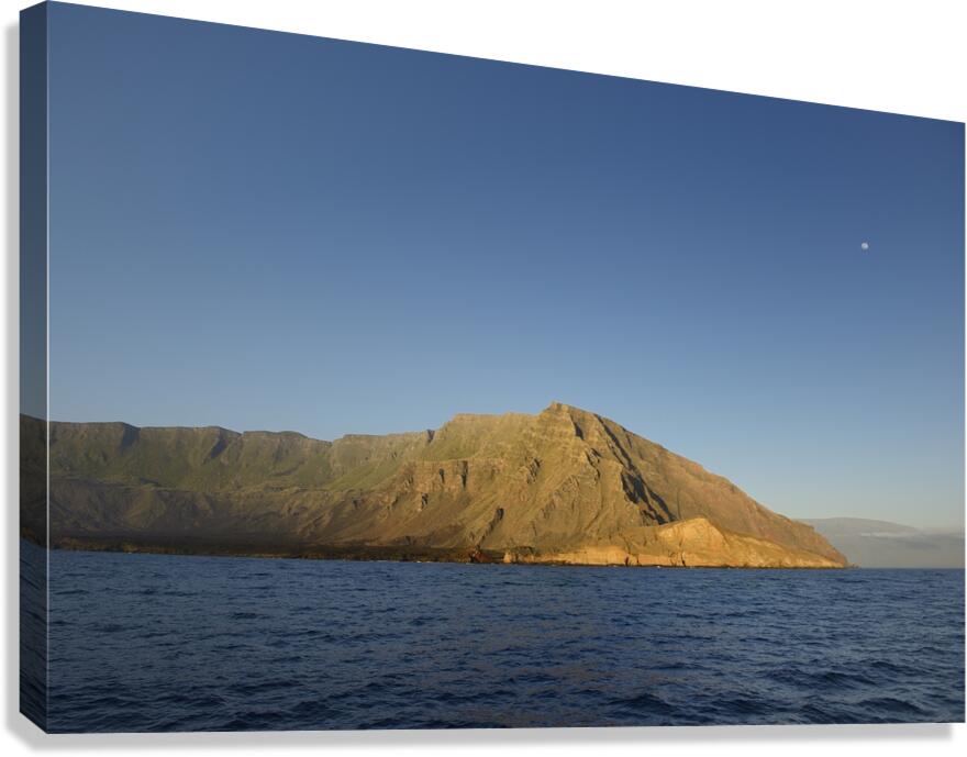 Punta Vicente Roca Isabela Island Galapagos Islands Ecuador
 Canvas Print