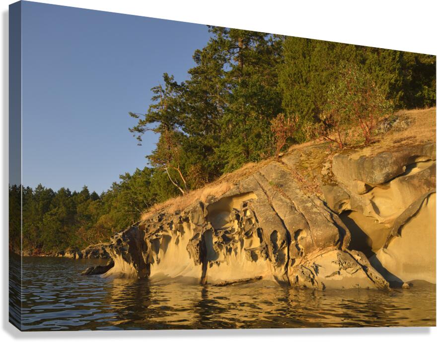 Wave etched sandstone cliff - Tent Island Canvas Print