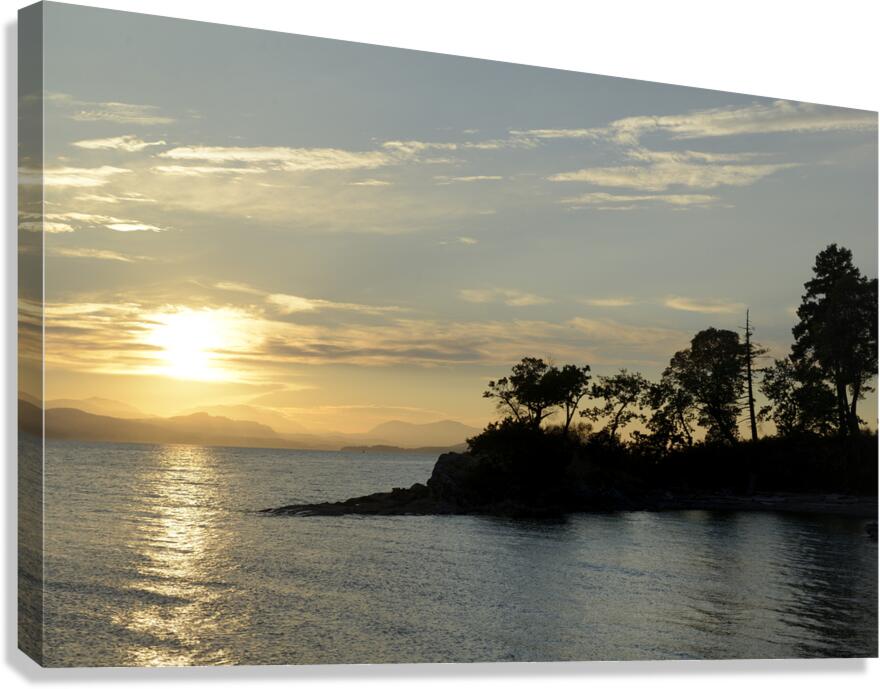 Sunset over Vancouver Island with silhouetted trees Canvas Print