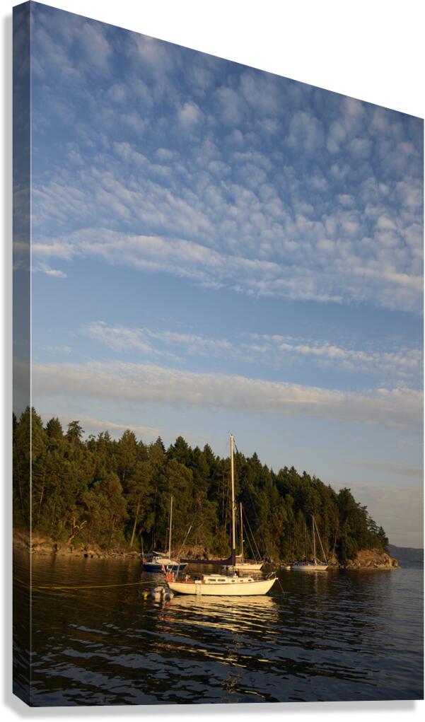 Sailboats at anchor on the west side of Tent Island Canvas Print