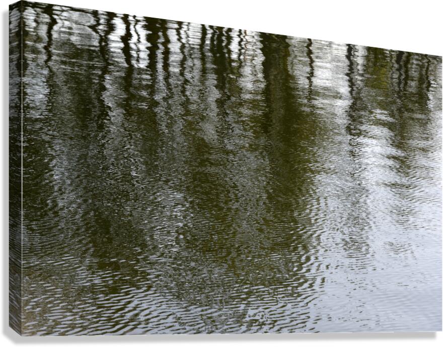 Trees reflected in the ocean Canvas Print