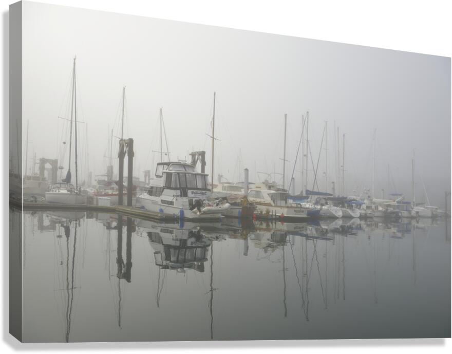Foggy harbour - San Juan Island Canvas Print