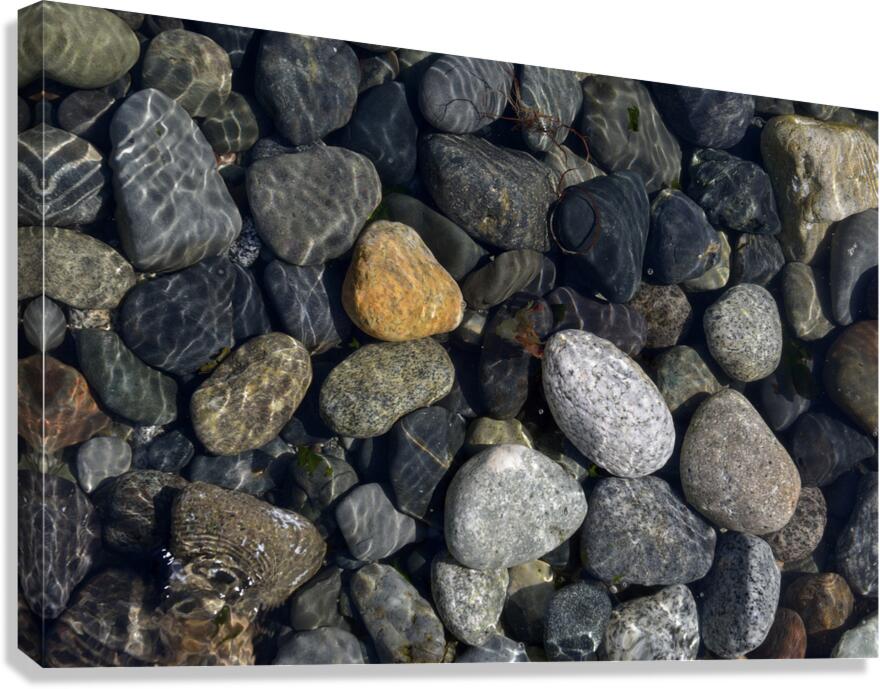 Polished rocks under the water. Sucia Island Canvas Print