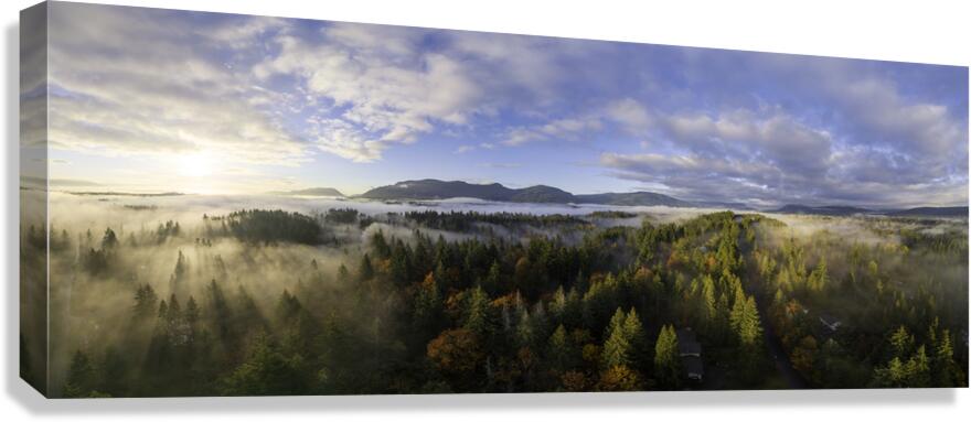 Spring Rays - Vancouver Island Canvas Print
