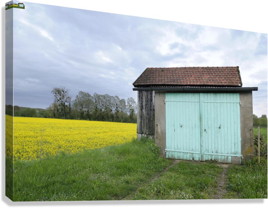 KO FR 08582 Canvas Print