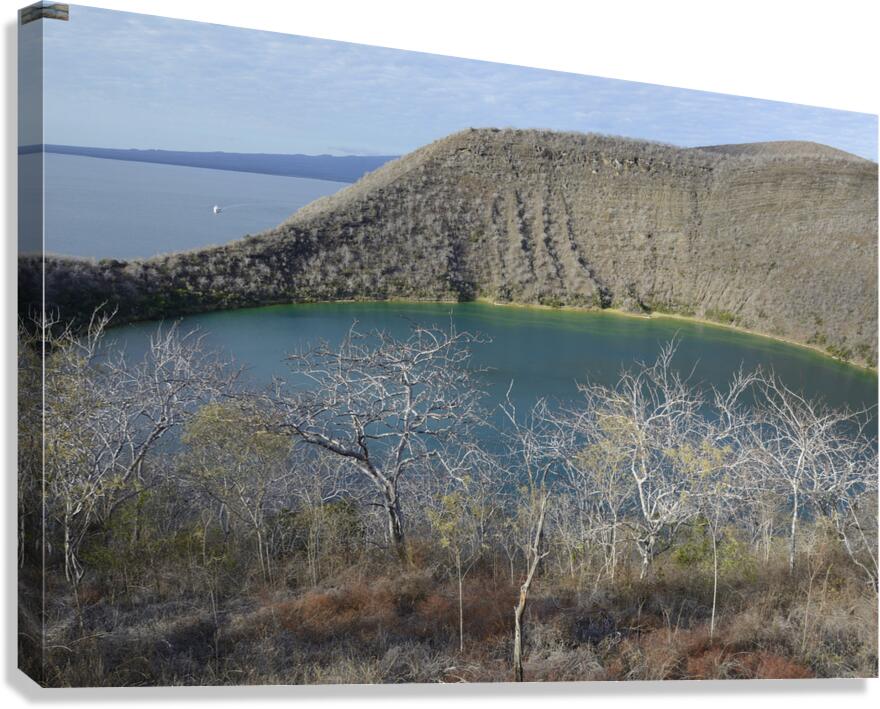 KO EC 11387 Canvas Print