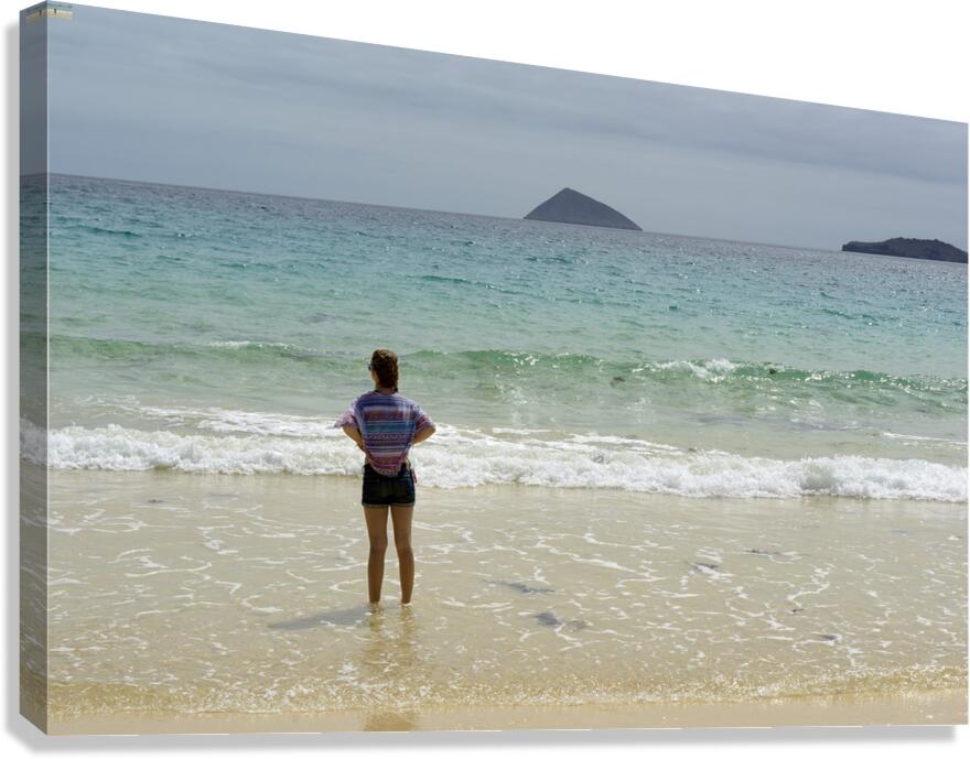 Looking out to sea at Punta Cormorant Floreana Island Galapagos Islands Ecuador Canvas Print