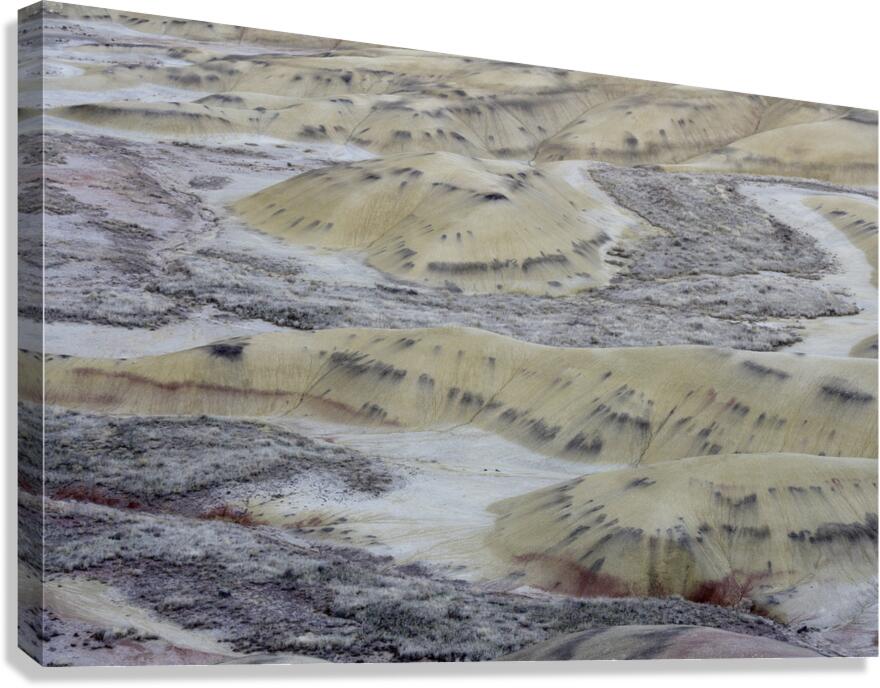 John Day Fossil Beds National Monument Oregon Canvas Print