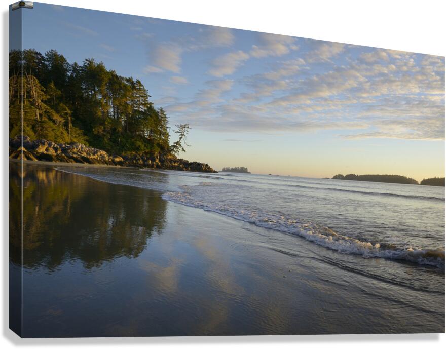 KO B12619 Canvas Print